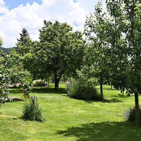 Am Paradies Bed & Breakfast Mullheim (Baden-Wurttemberg)