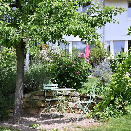 Am Paradies 3* Mullheim (Baden-Wurttemberg)
