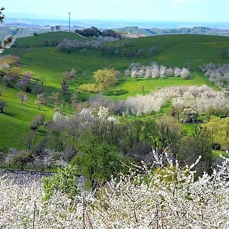 Am Paradies Oda ve Kahvaltı Mullheim (Baden-Wurttemberg)