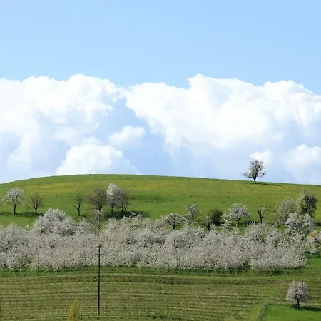 فندق مبيت وإفطار Am Paradies 3*