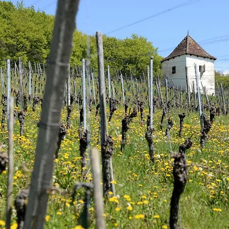 Am Paradies Bed & Breakfast *