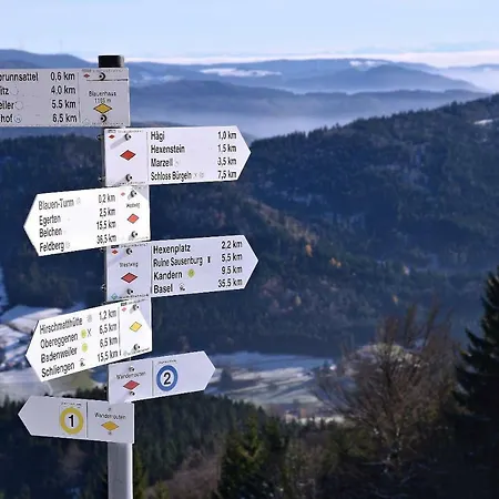 Am Paradies 3* مولهايم