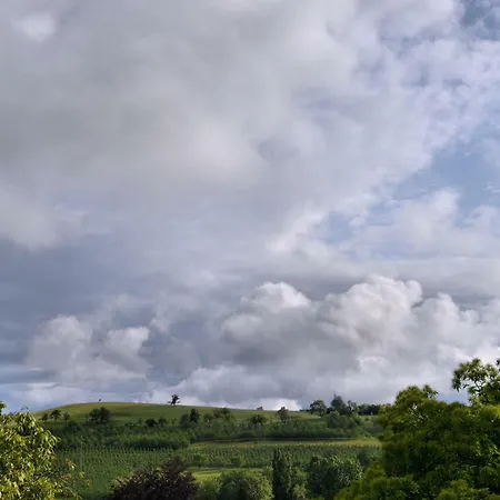 Oda ve Kahvaltı Am Paradies Mullheim (Baden-Wurttemberg)