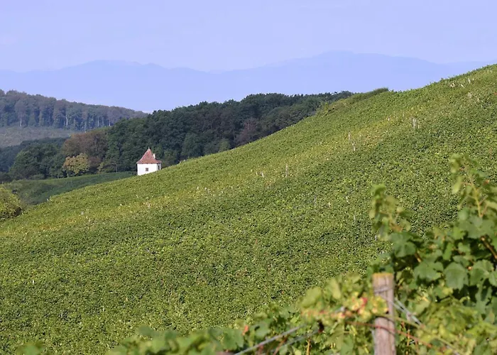 Bed & Breakfast Am Paradies Mullheim (Baden-Wurttemberg)