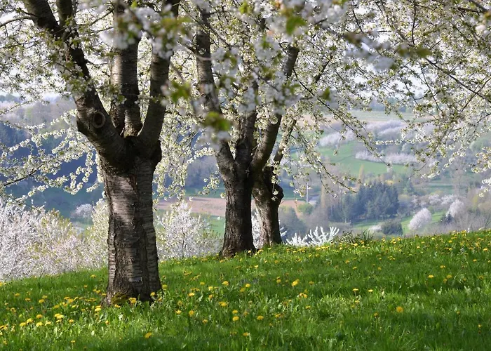 Am Paradies Bed & Breakfast Mullheim (Baden-Wurttemberg)