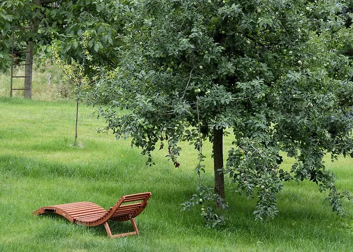 Am Paradies 3* Mullheim (Baden-Wurttemberg)